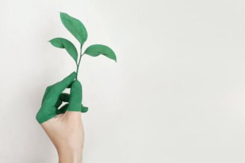 Bądź bardziej eko – 5 prostych sposobów